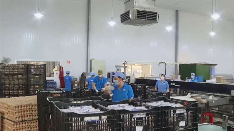 Mỗi tháng có hơn 25.000 doanh nghiệp thành lập mới