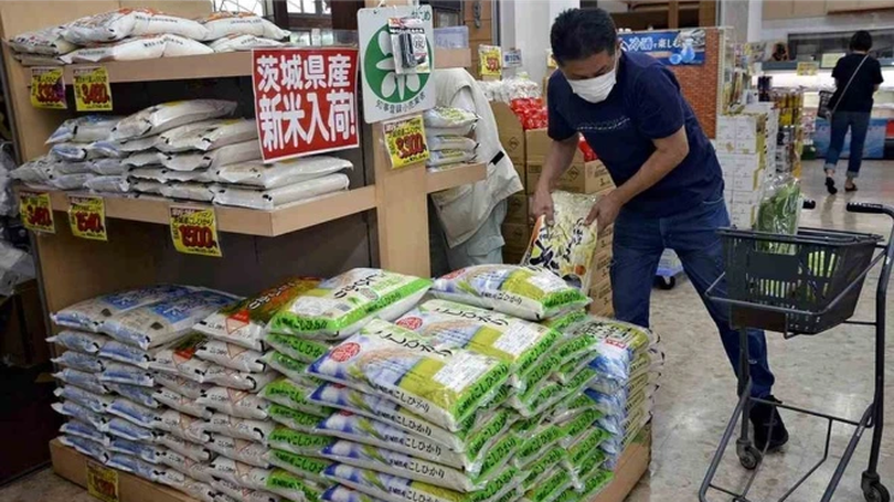 Nhật Bản tăng cường nhập khẩu gạo