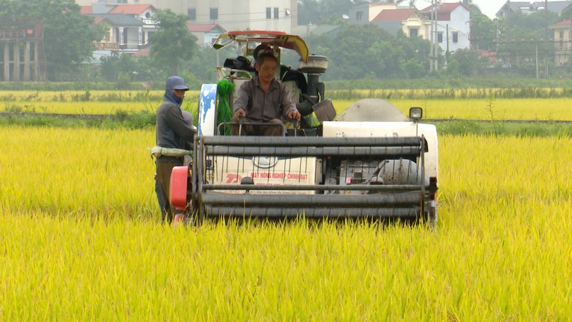 Nông dân Thủ đô chuẩn bị xuống đồng vụ mùa