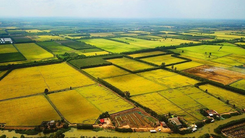 Miễn thuế sử dụng đất nông nghiệp đến năm 2030