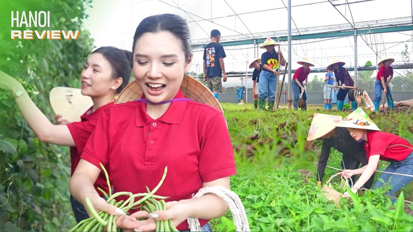 Trải nghiệm một ngày làm nông dân cùng Hà Nội Review | HANOI Review | 26/06/2025