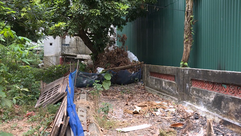 Thực hiện nghiêm túc công điện của Thành phố | Hộp thư truyền hình | 28/06/2025