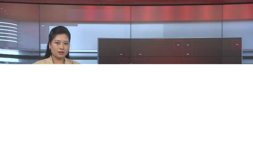 Bản tin 141 | 29/06/2025