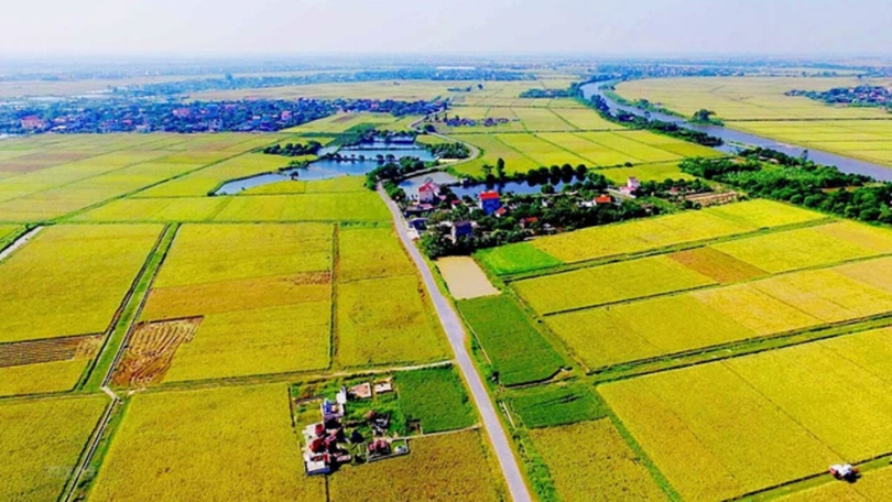 Bộ Tài chính đề xuất giảm phí chuyển đổi đất nông nghiệp