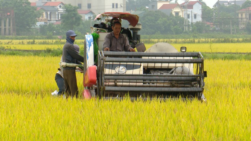 Ứng dụng công nghệ trong sản xuất lúa bền vững | Chuyển đổi xanh | 12/07/2025