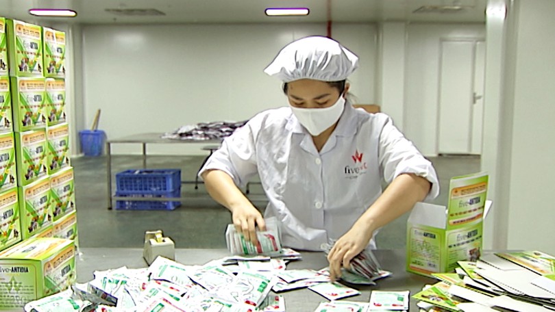 Kiểm tra, giám sát việc kinh doanh nguyên liệu làm thuốc