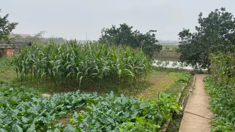 Đề xuất giảm tiền chuyển từ đất nông nghiệp sang đất ở