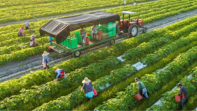 Huy động vai trò hộ nông nghiệp trong kinh tế tuần hoàn
