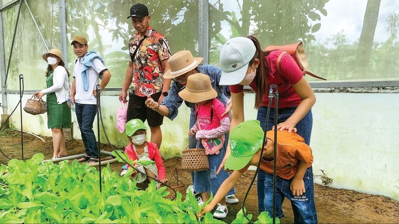 Phát triển kinh tế từ mô hình du lịch nông nghiệp