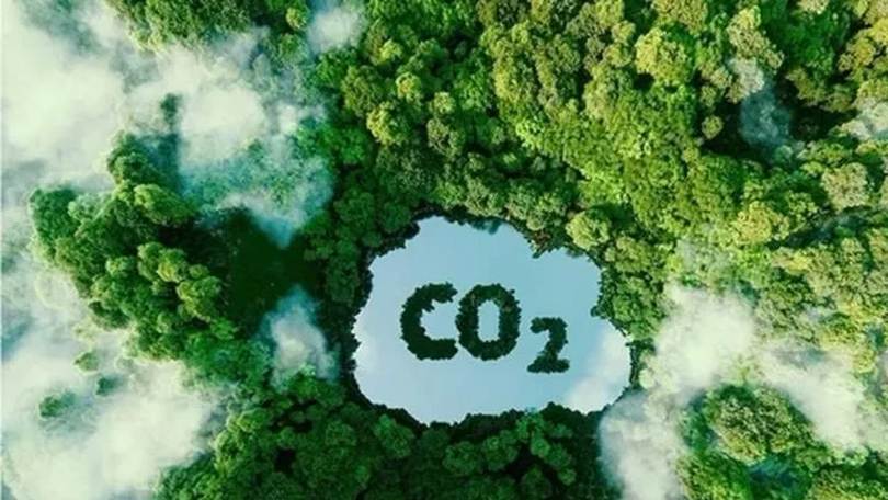Sàn giao dịch carbon vận hành thử nghiệm cuối năm nay