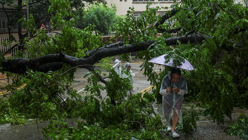 Bão Wipha đổ bộ vào Hong Kong và Ma Cao (Trung Quốc)