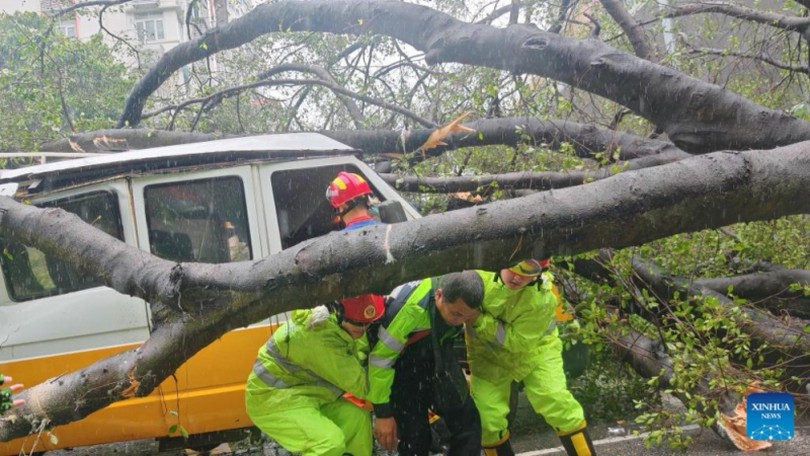 Trung Quốc cảnh báo lũ quét, lở đất do bão Wipha