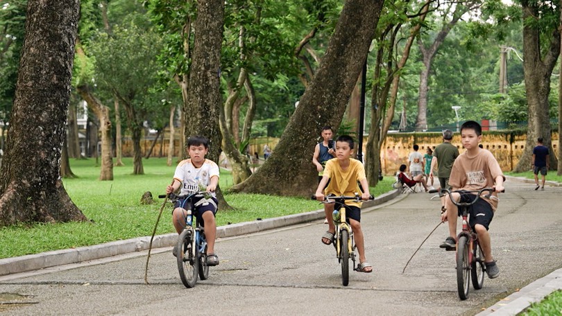 Ngày hè trong Bách Thảo