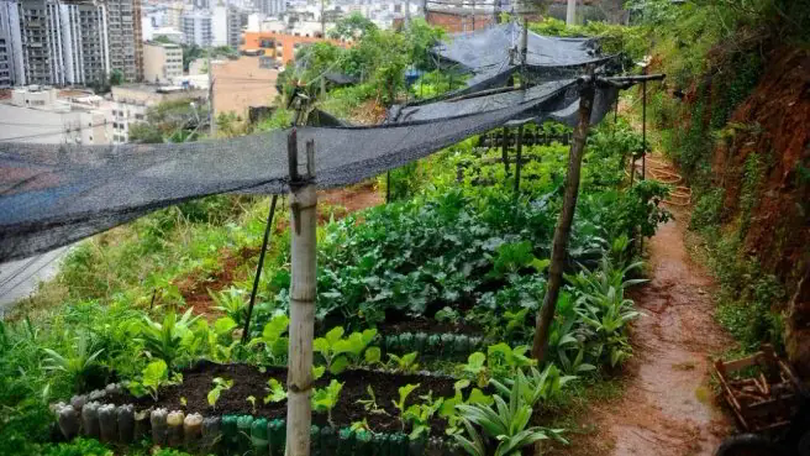 Dự án tự cung tự cấp chống nạn đói ở Brazil