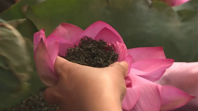 Chè sen Hiền Xiên | Mỗi xã một sản phẩm | 21/07/2025