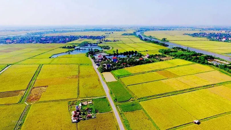 Thay đổi quan trọng về bồi thường đất nông nghiệp