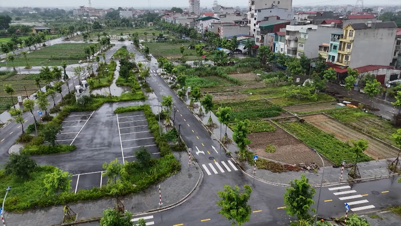 Bố trí tái định cư cho dự án cầu Tứ Liên