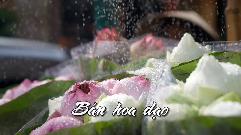 Bán hoa dạo | Nhịp sống Hà Nội | 29/07/2025