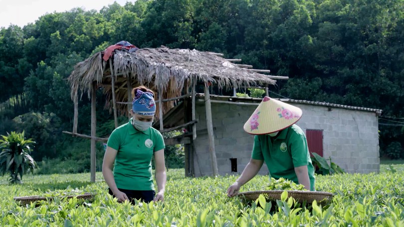Doanh nghiệp nhỏ và vừa loay hoay với chuyển đổi kép