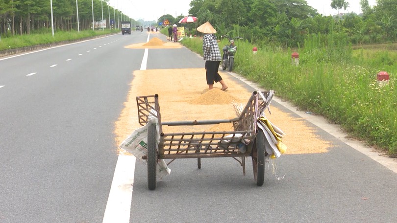 Mất an toàn giao thông vì thói quen phơi nông sản trên đường