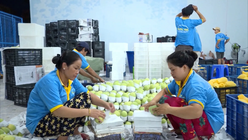 Nâng cao năng lực cạnh tranh, mở rộng thị trường xuất khẩu