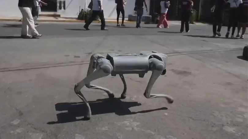 Chó robot lên tiếng thay loài vật ở Mexico