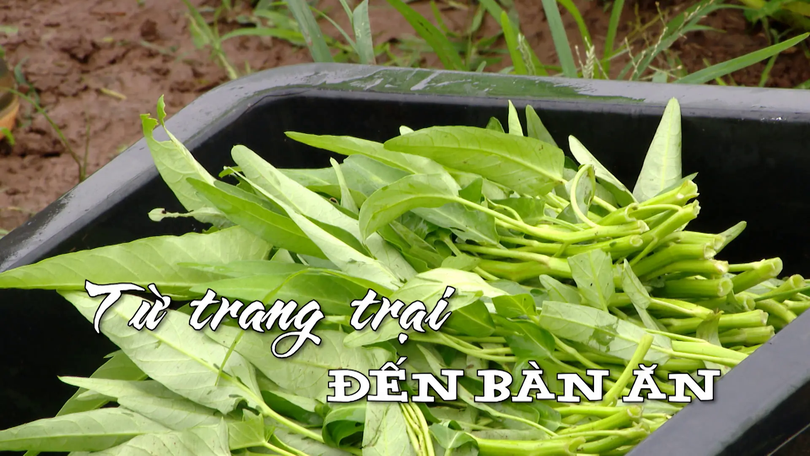 Từ trang trại đến bàn ăn | Nhịp sống Hà Nội | 18/08/2025