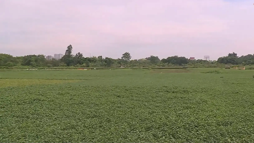 Xã Ngọc Hồi dành 5,4 ha đất GPMB dự án giao thông