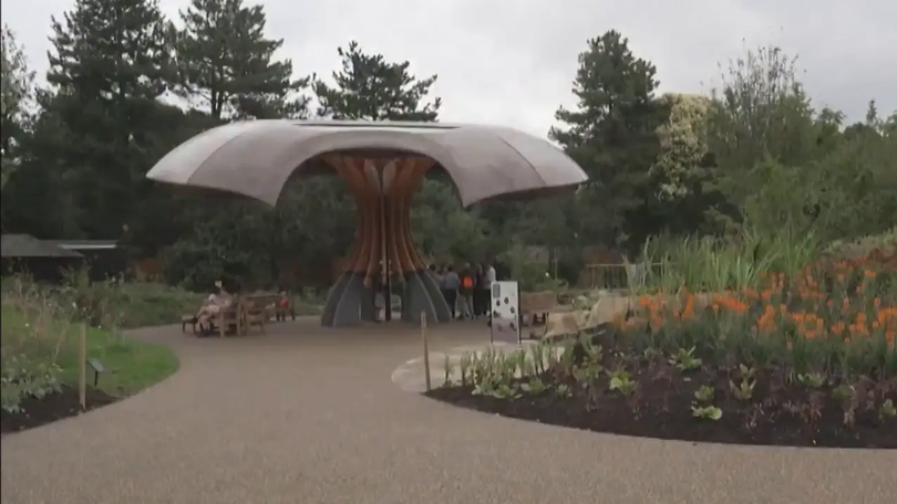 Kew Gardens ra mắt ‘vườn carbon’ thích ứng biến đổi khí hậu