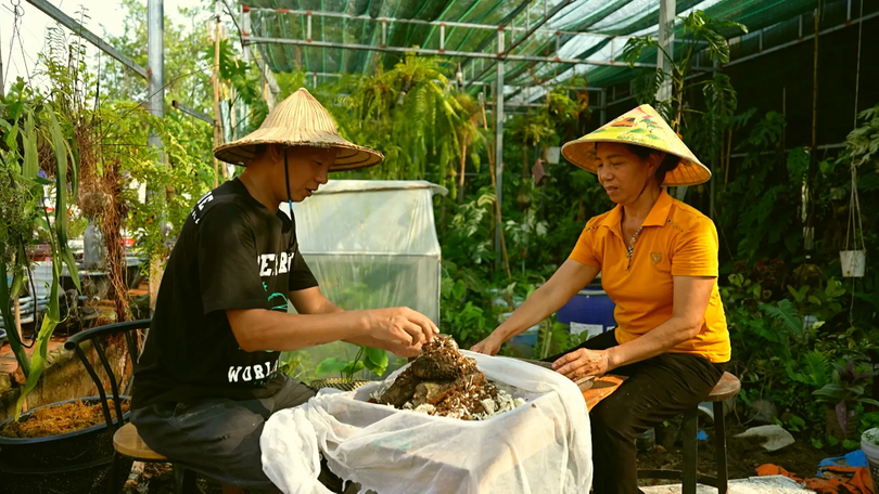 Làm vườn từ đồ tái chế