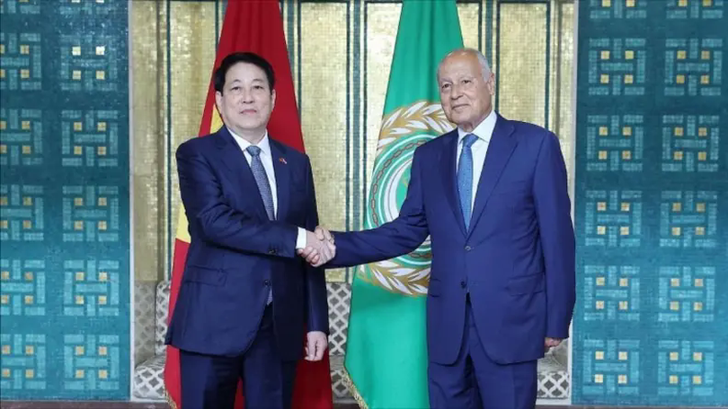 Chủ tịch nước Lương Cường hội đàm với Tổng Thư ký Liên đoàn Arab