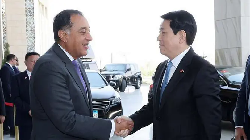 Chủ tịch nước Lương Cường hội kiến Thủ tướng Ai Cập