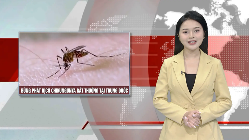 Bùng phát dịch chikungunya bất thường tại Trung Quốc | Nhìn ra thế giới | 09/08/2025
