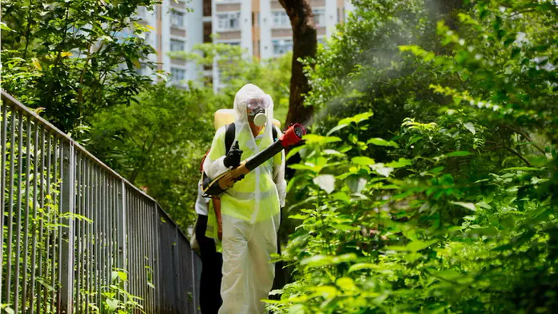 Bùng phát dịch Chikungunya bất thường tại Trung Quốc