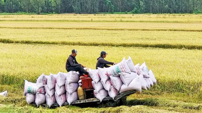 Bộ Công Thương họp tìm hướng đi cho hạt gạo