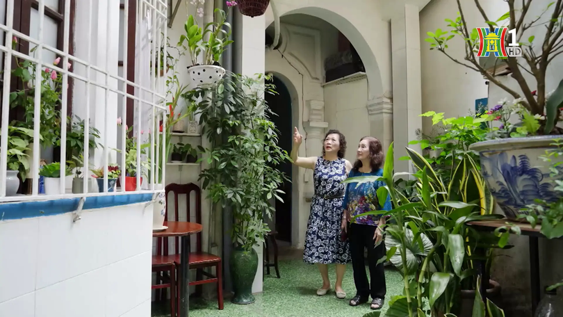Người phụ nữ "ươm xanh" con ngõ nhỏ | Người tốt quanh ta | 22/09/2025