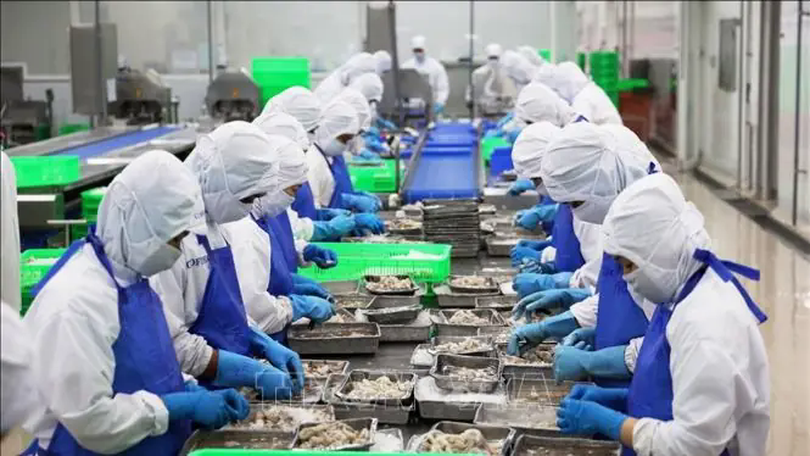Hơn 98% doanh nghiệp nông sản đạt chuẩn an toàn thực phẩm