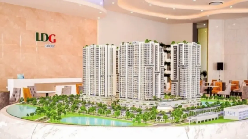 LDG bị nhắc nhở do chậm công bố thông tin