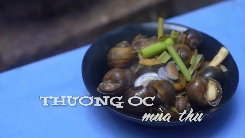 Thưởng ốc mùa thu | Nhịp sống Hà Nội | 27/09/2025