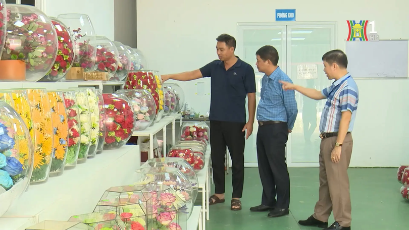 Làm giàu từ kinh doang hoa tươi "bất tử" ở Mê Linh | Người tốt quanh ta | 01/10/2025