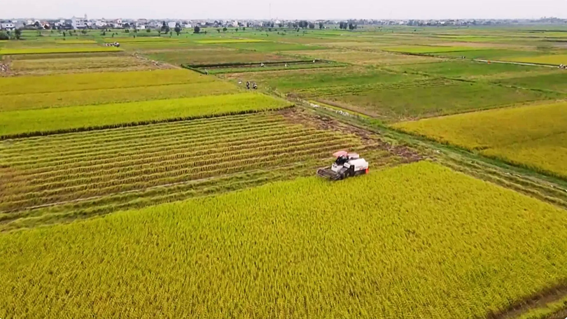 Hà Nội quy định công trình được xây trên đất nông nghiệp