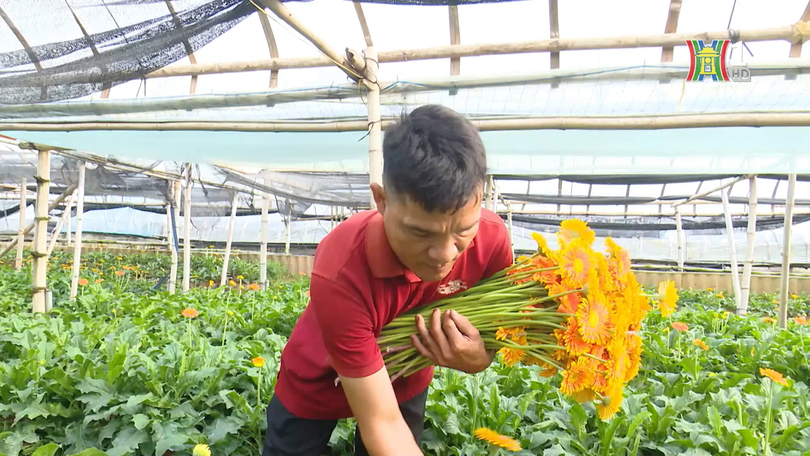 Người thay đổi nông nghiệp Đan Phượng | Người tốt quanh ta | 08/09/2025