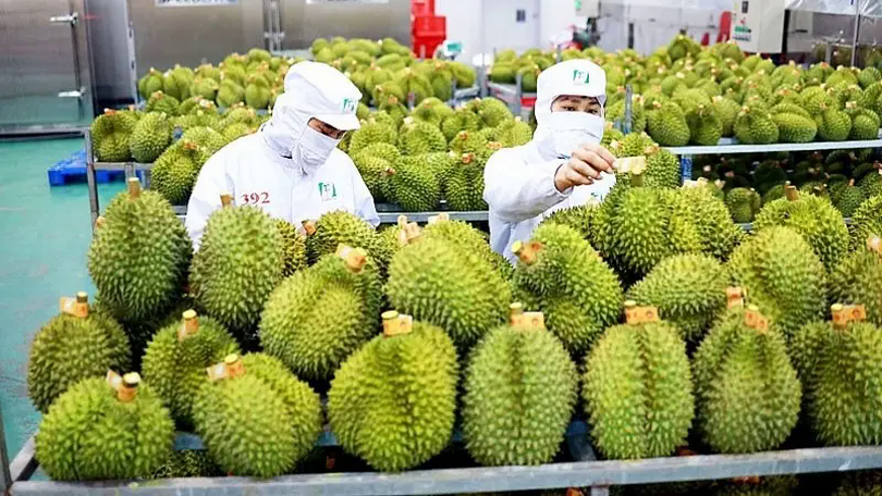 Nông sản Việt vượt 45 tỷ USD sau 8 tháng
