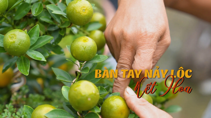 Bàn tay nảy lộc kết hoa | Nghệ nhân Hà Nội | 10/01/2026