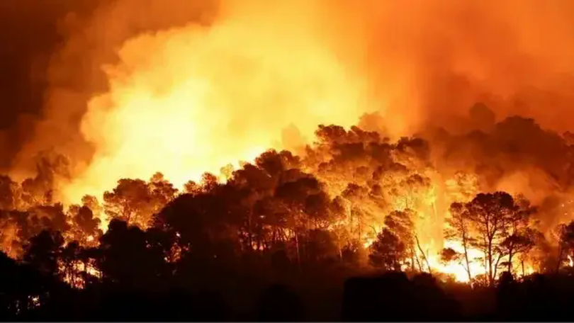 Australia vật lộn với cháy rừng tồi tệ nhất từ năm 2019