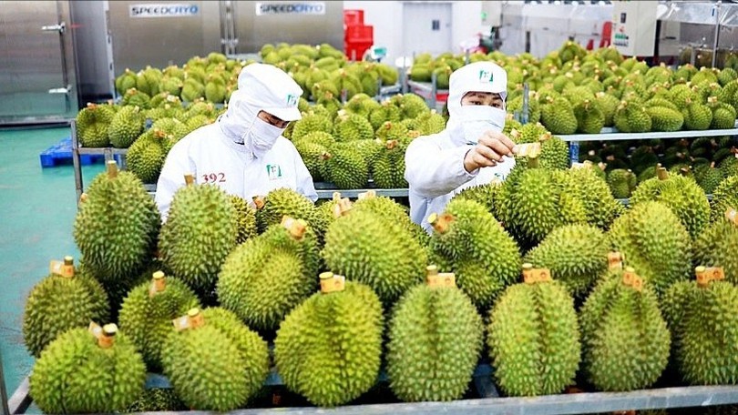 ESG - giấy thông hành cho xuất khẩu của nông sản Việt