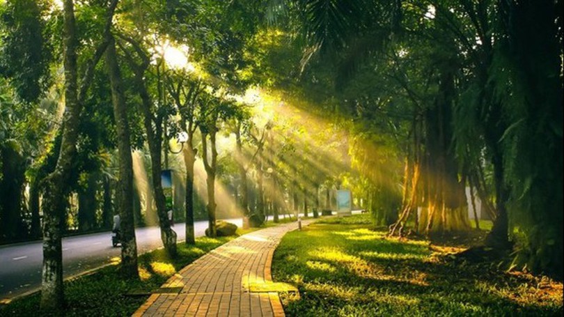 Thời tiết 14/1: Hà Nội nắng ấm trước khi bước vào đợt rét