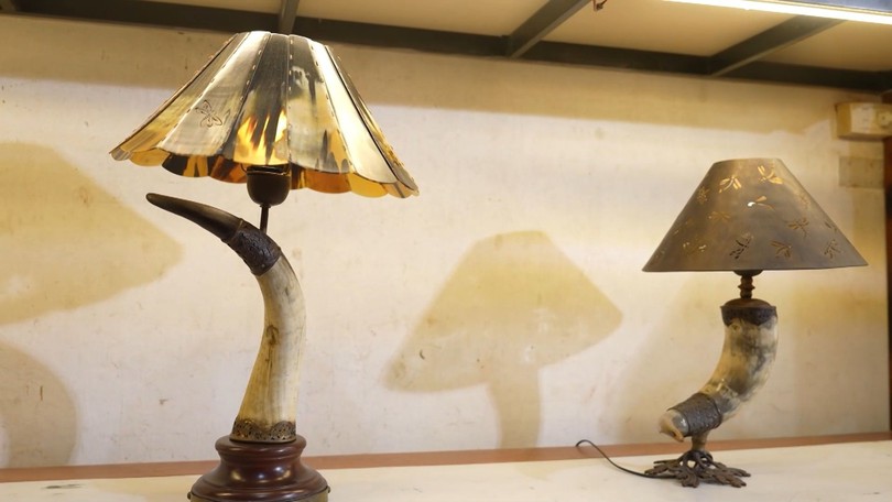Đèn trang trí chất liệu sừng | Made in Hanoi | 16/01/2026