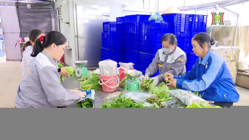 Nông nghiệp bền vững - hướng đi tất yếu | Thủ đô và thế giới | 17/01/2026