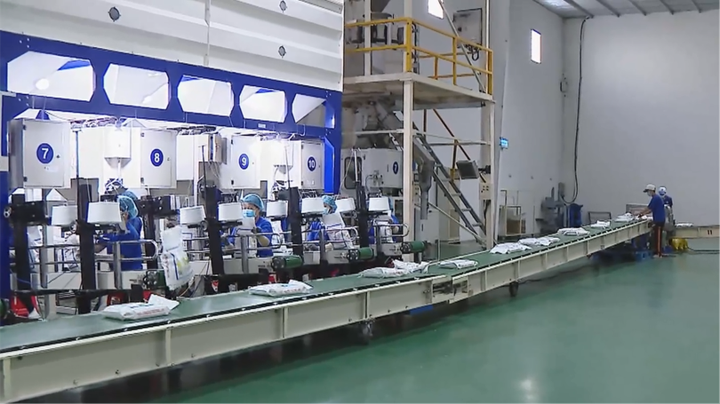 Chính phủ miễn thuế thu nhập ba năm cho doanh nghiệp nhỏ